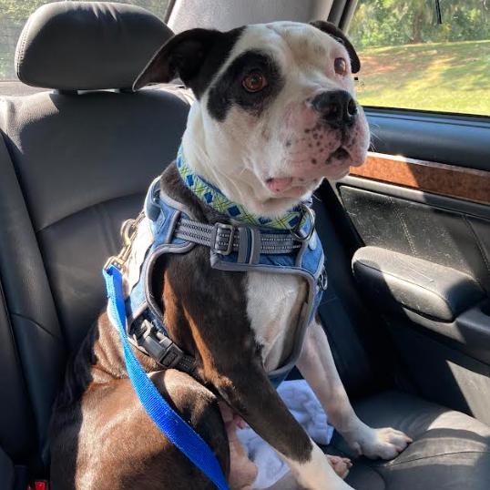 Walter — thumbnail 5