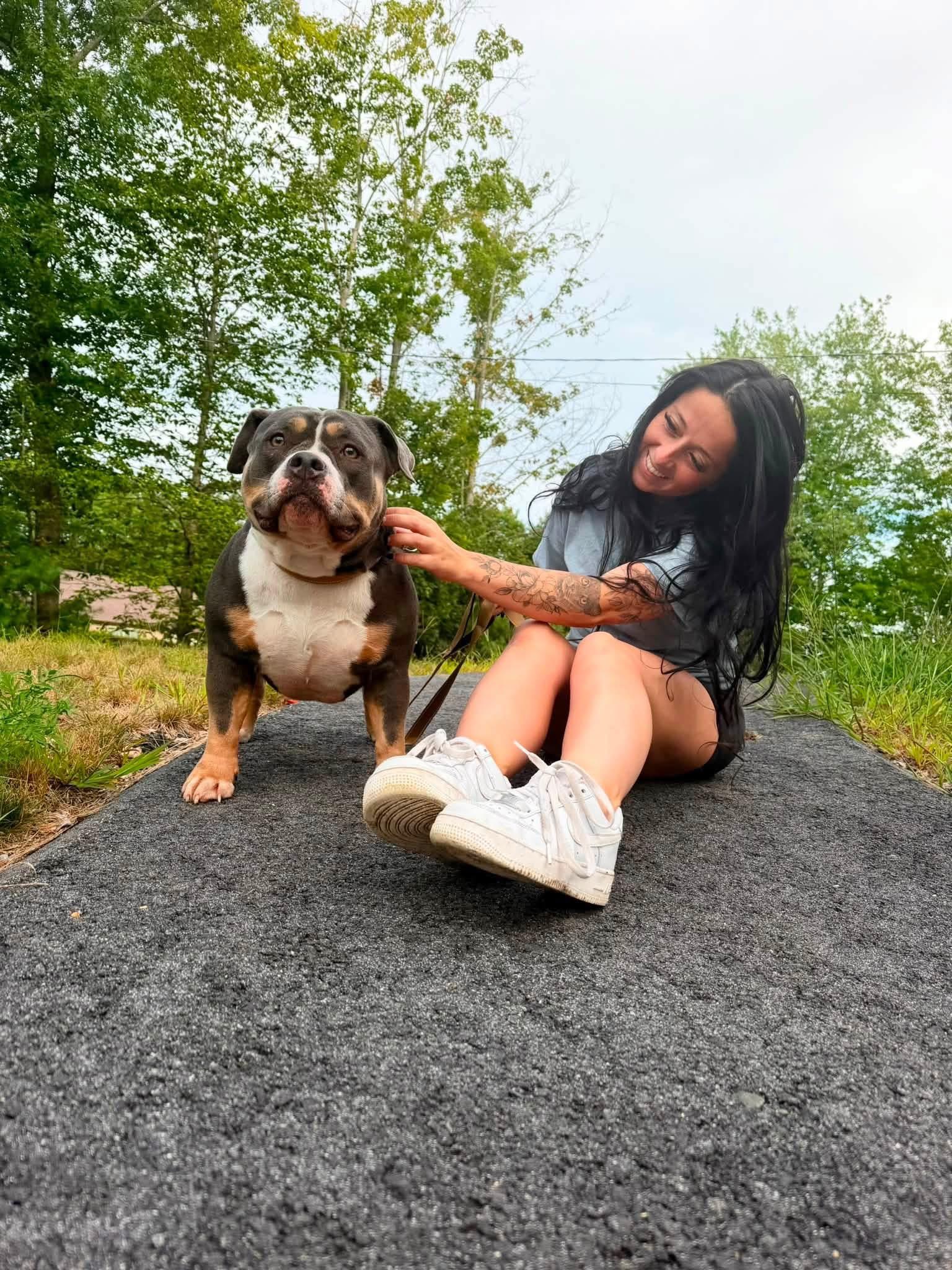 Enlarge Trisha, an adopted mixed breed in Kennebunk , ME image 2/4