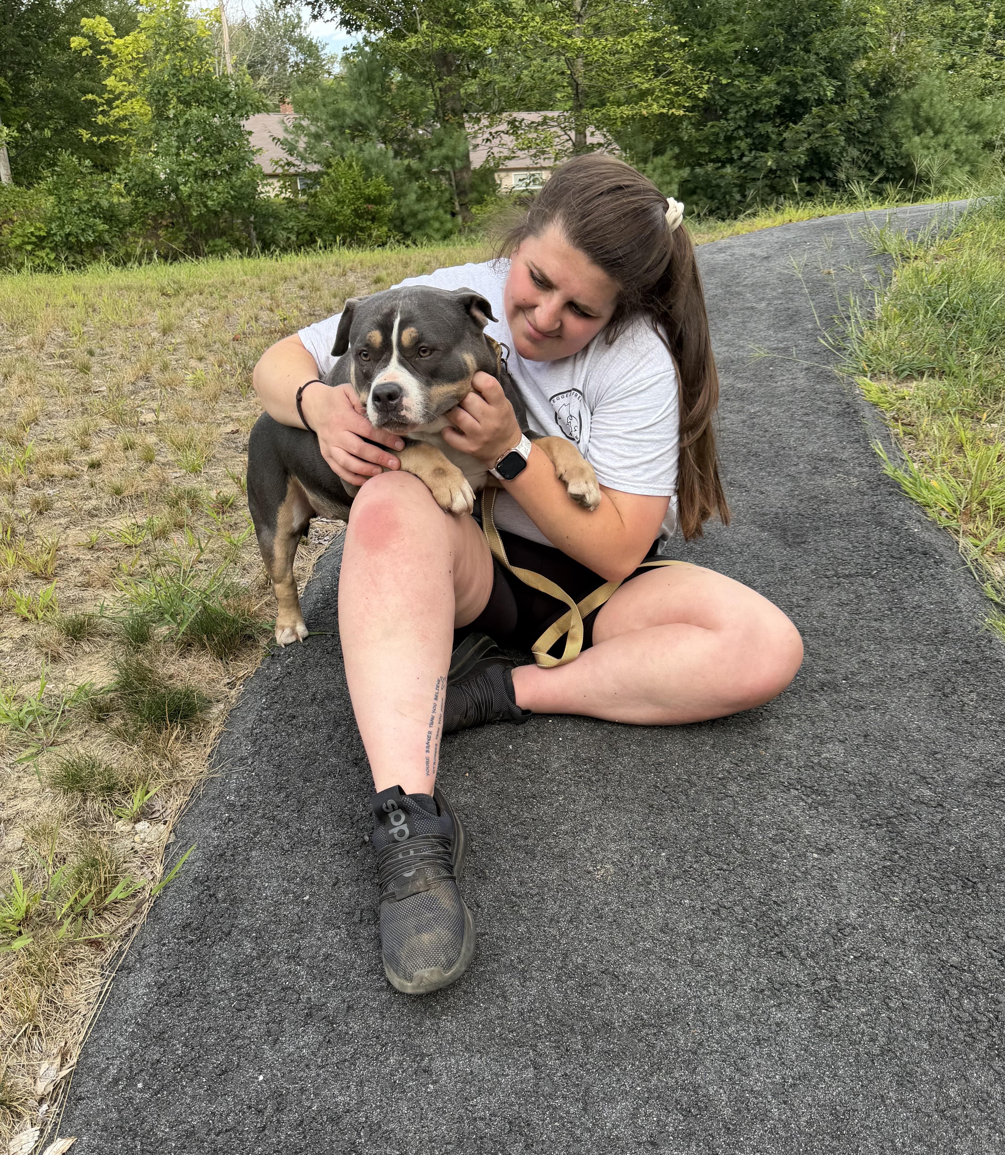 Enlarge Trisha, an adopted mixed breed in Kennebunk , ME image 4/4