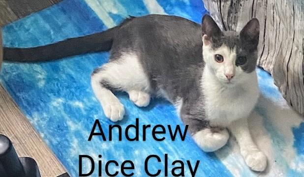 Andrew Dice Clay