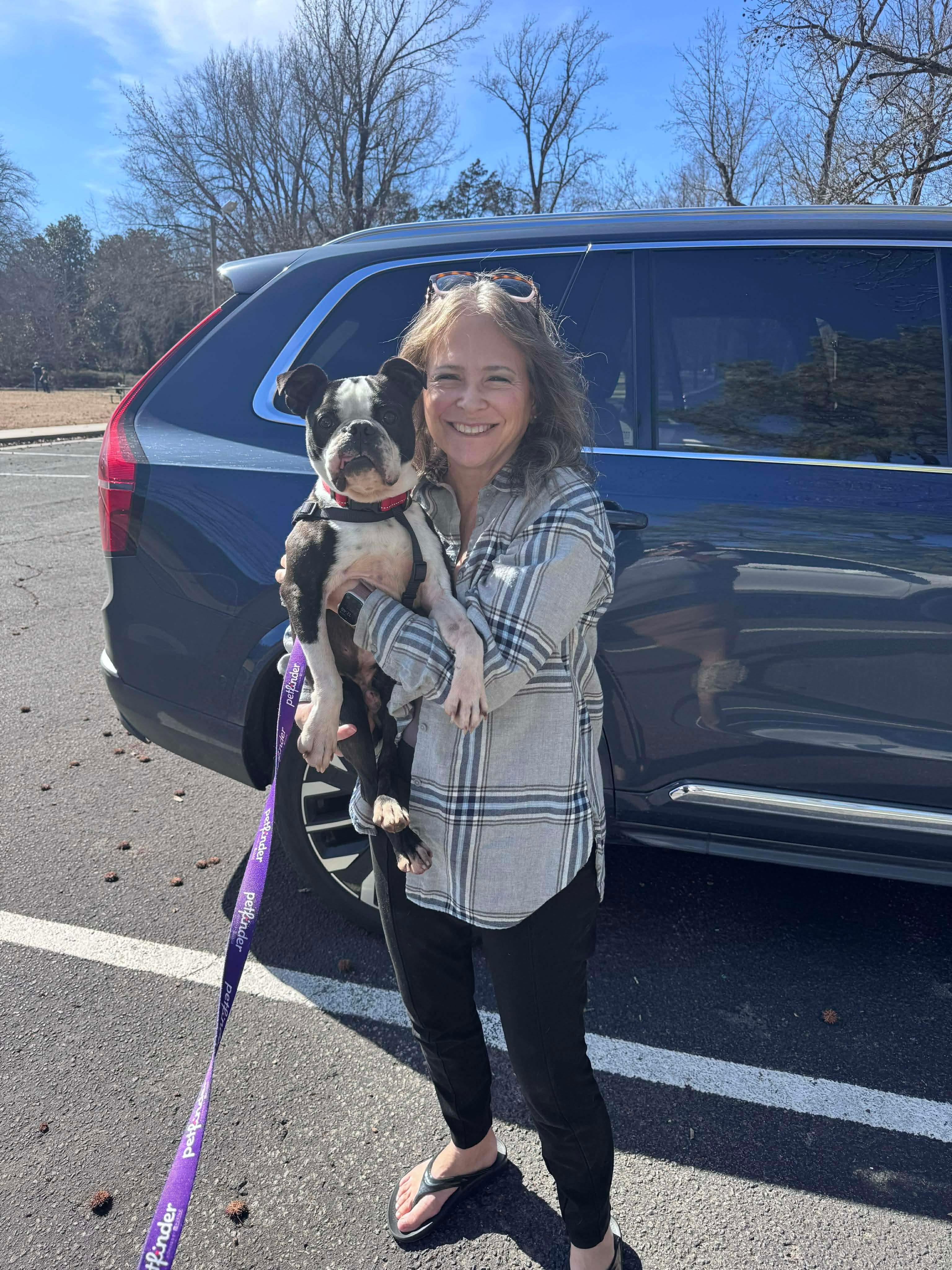 Enlarge Alan, a Adopted Boston Terrier in Muskogee, OK image 6/6
