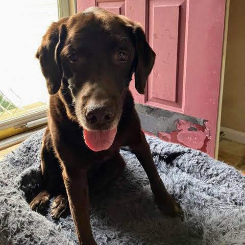 Hershey Kiss thumbnail 2