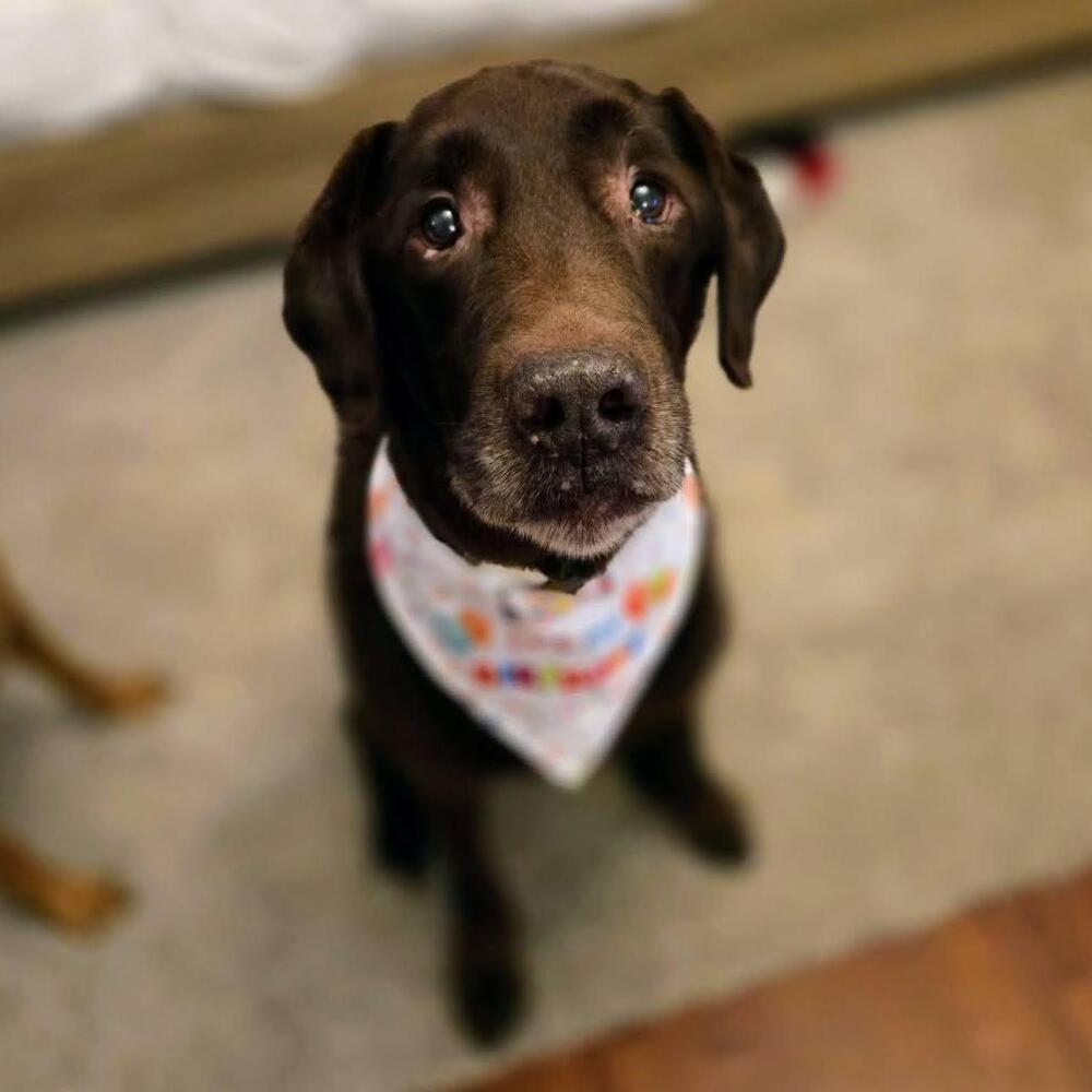 Hershey Kiss thumbnail 3