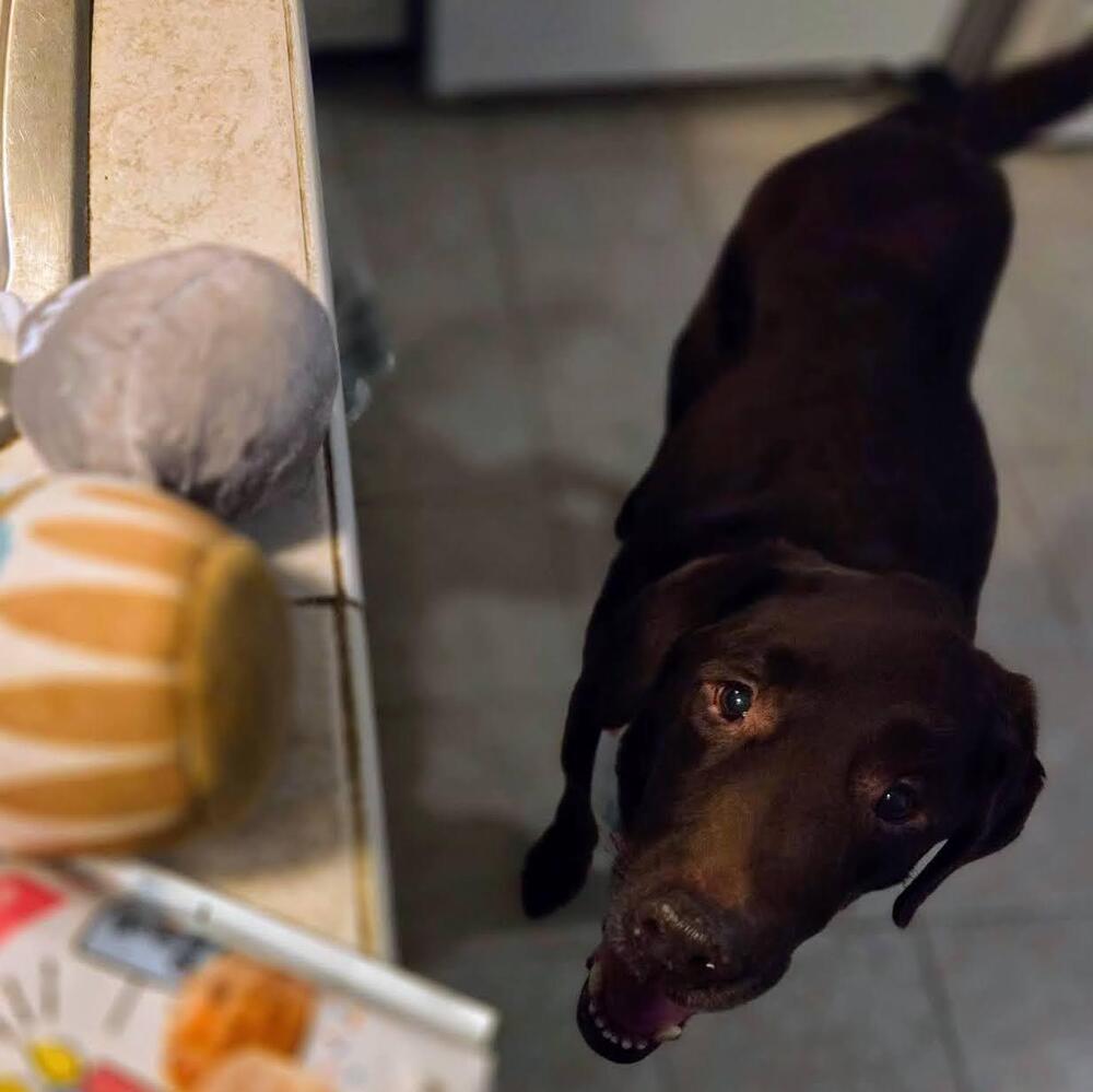 Hershey Kiss thumbnail 4