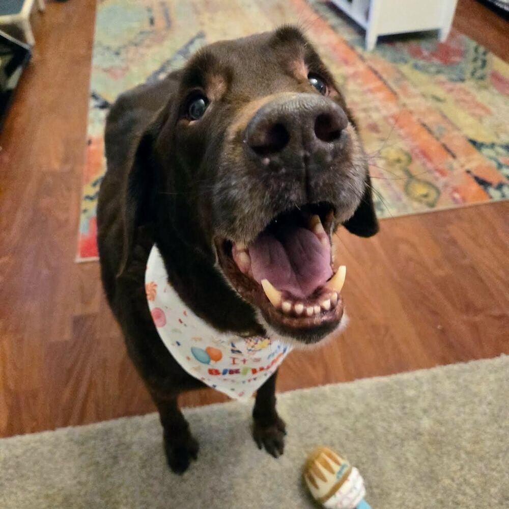 Hershey Kiss thumbnail 5