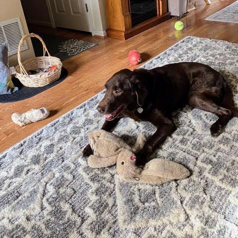 Hershey Kiss thumbnail 7