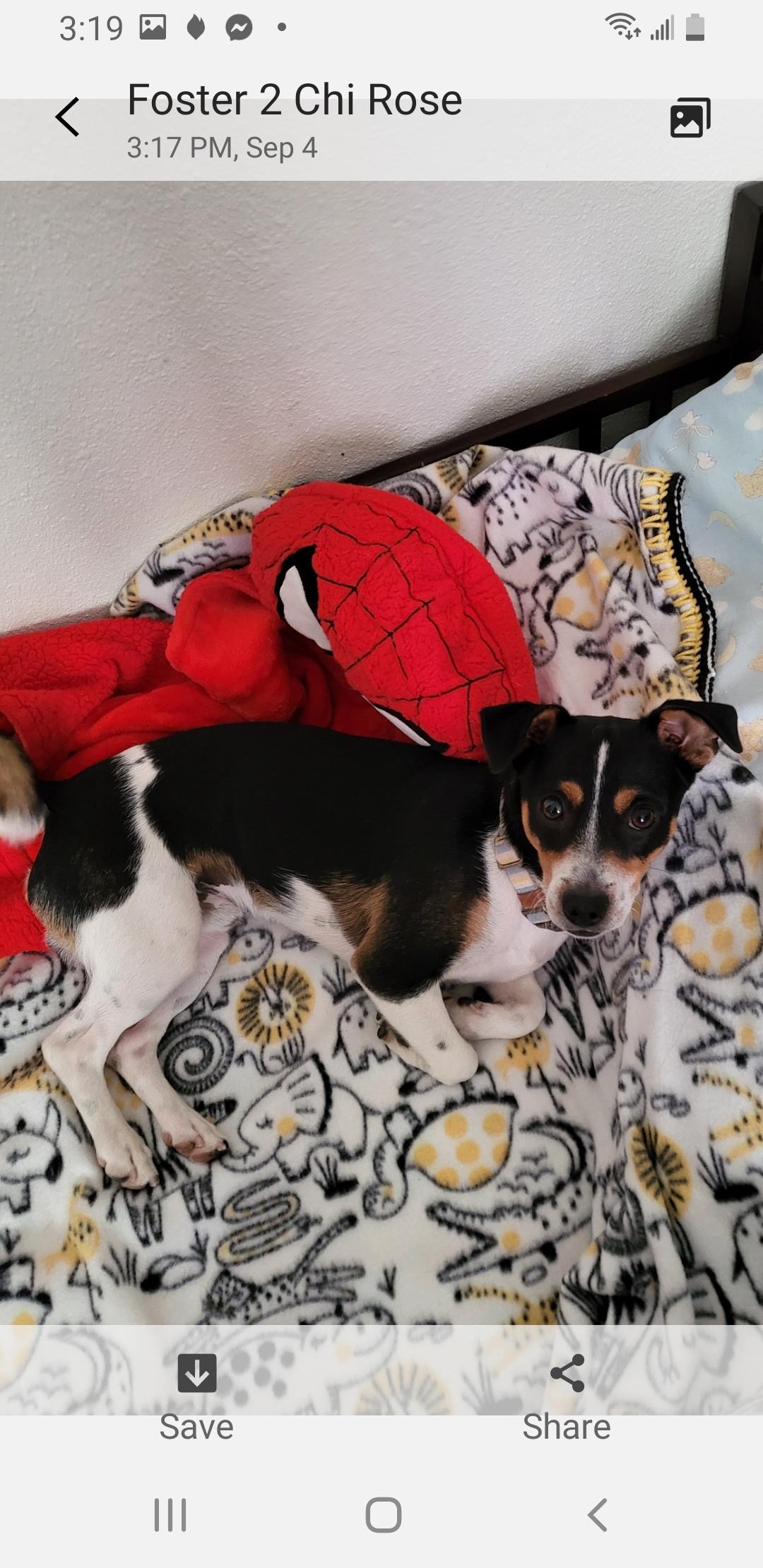 Walter