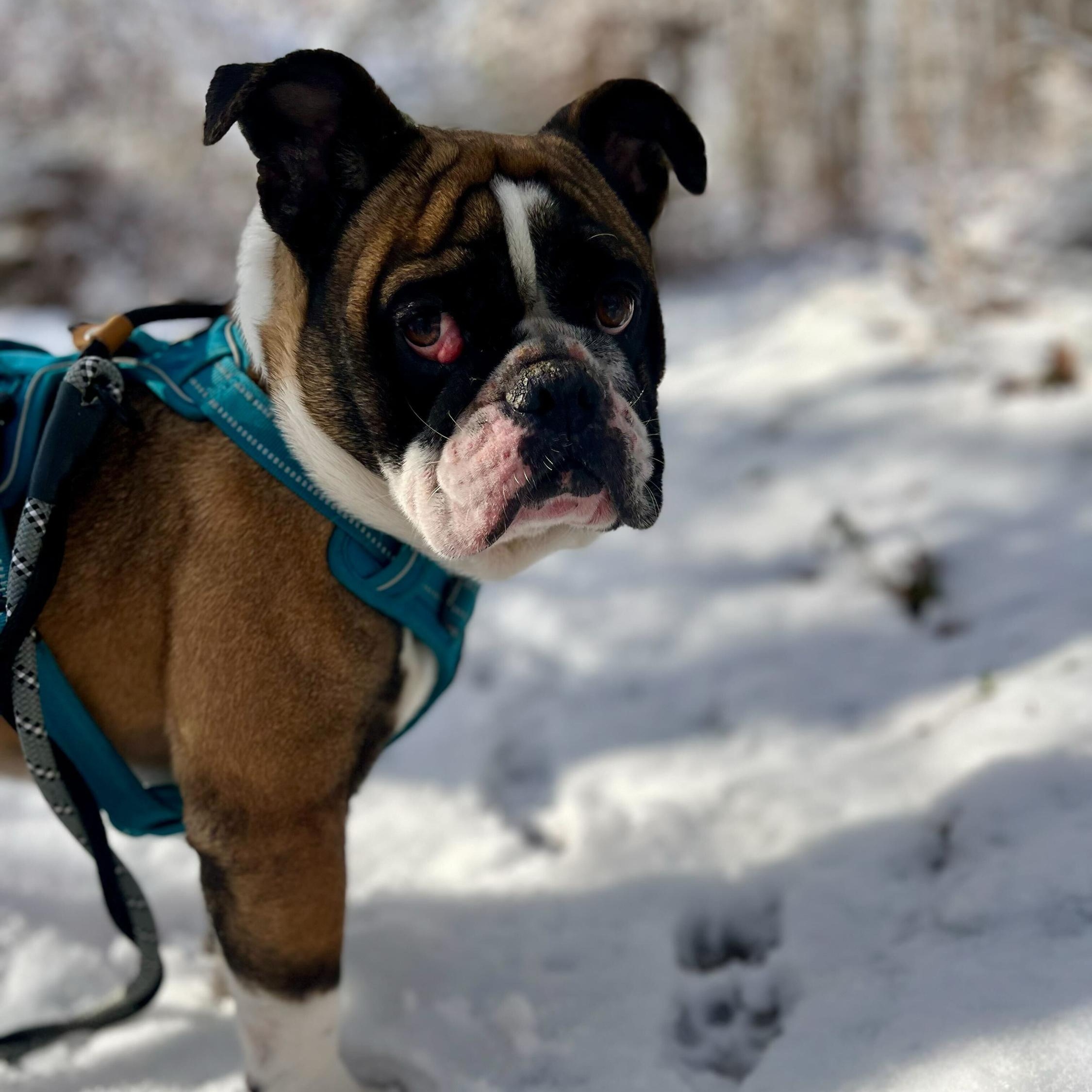 Tungsten thumbnail 3