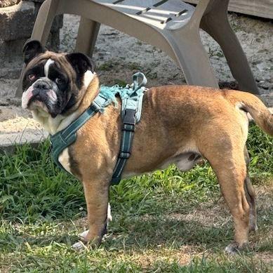 Tungsten thumbnail 4