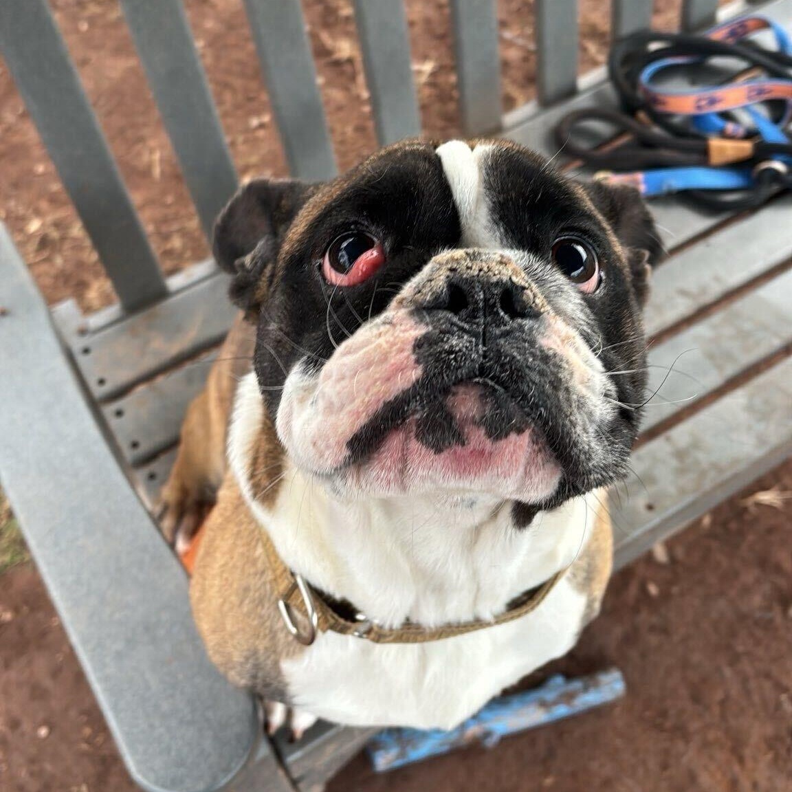 Tungsten thumbnail 5