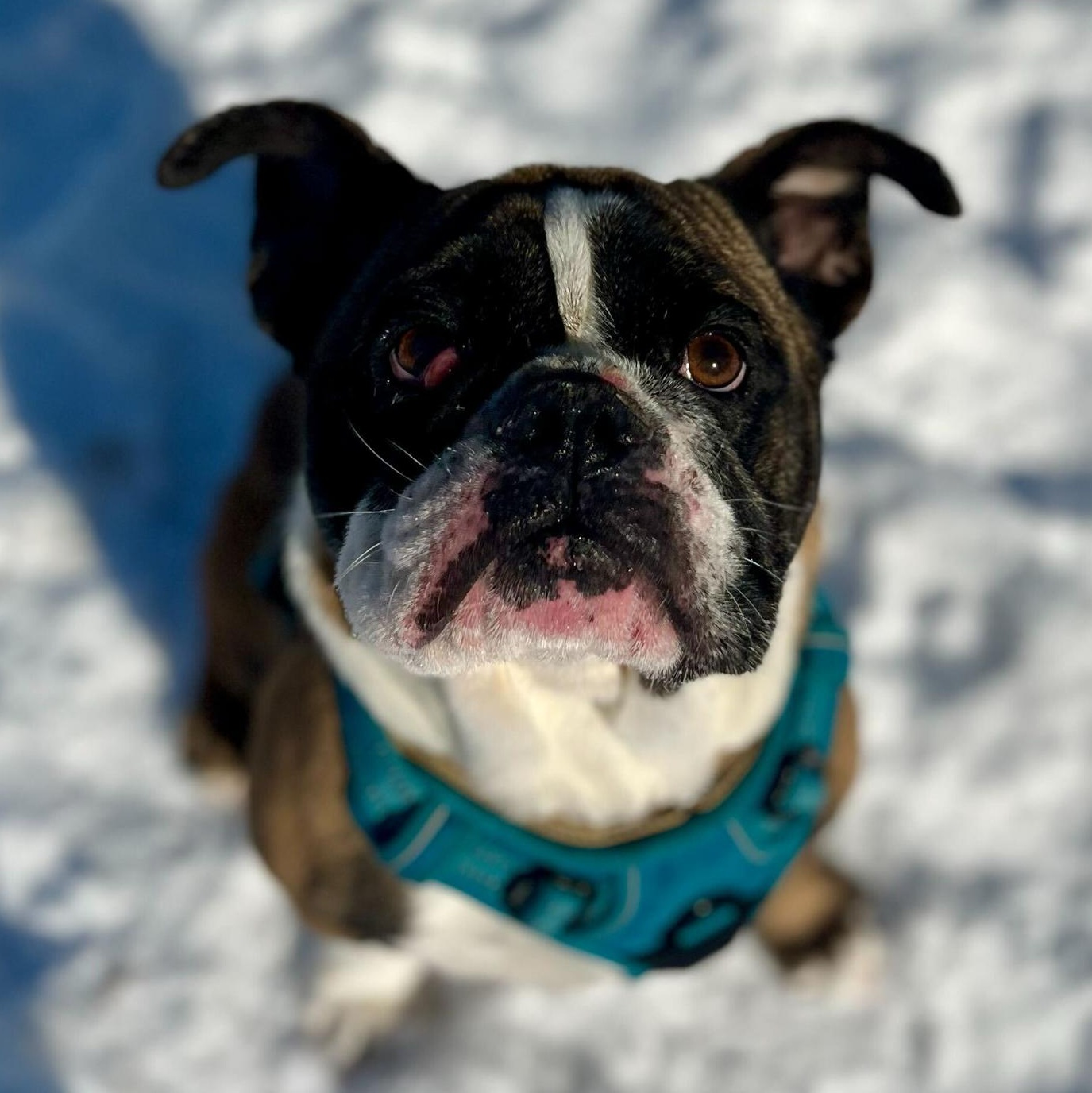 Tungsten thumbnail 6