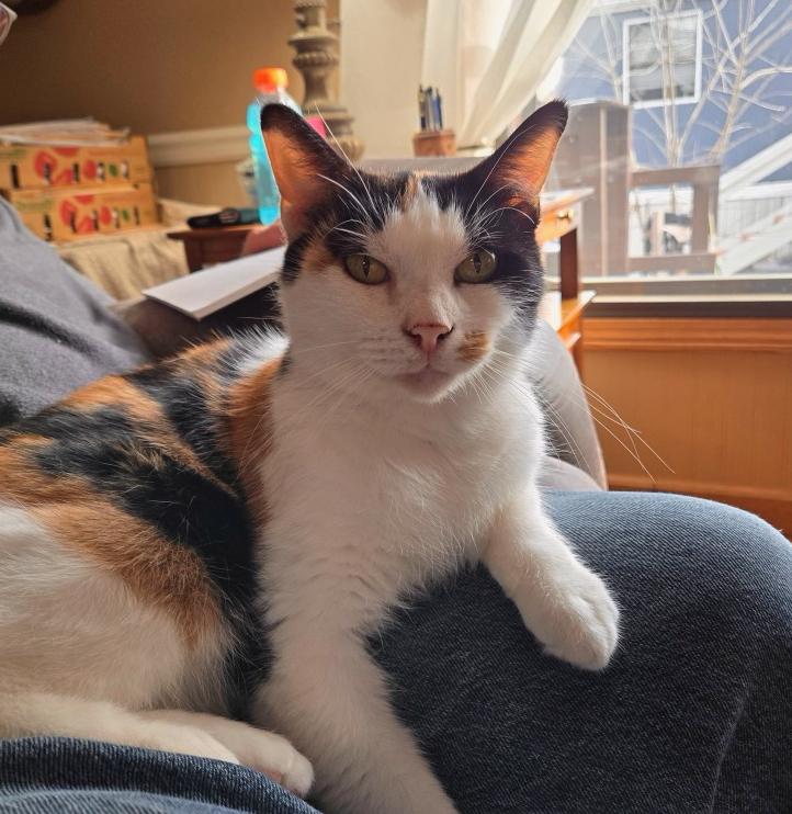 Cali, Young Female unknown