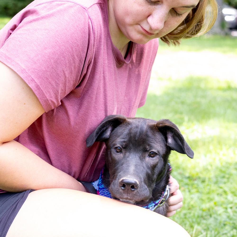 Enlarge Reba (Female), a Adoptable mixed breed in West Grove, PA image 4/6