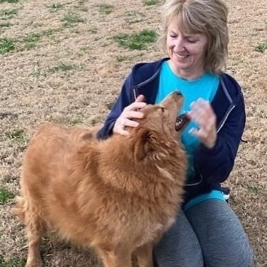 Enlarge Rosie, a Adoptable mixed breed in Southaven , MS image 4/4