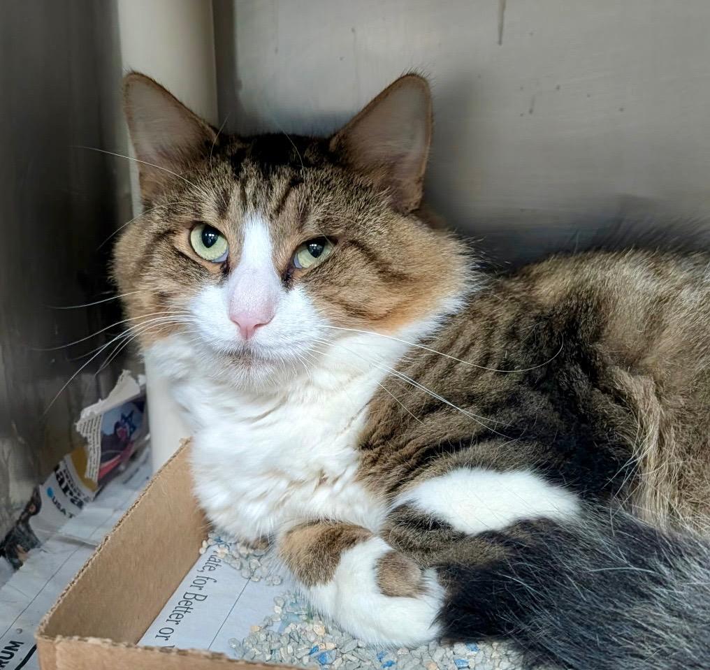 Space Heater thumbnail 2