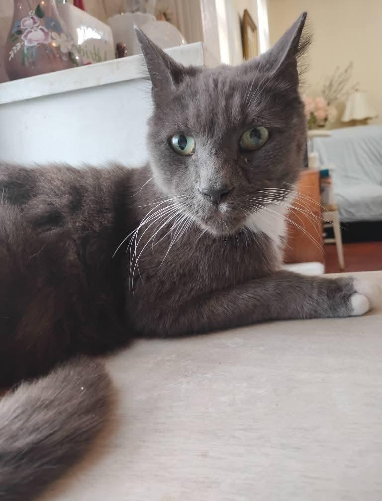 Oz  The Great thumbnail 5