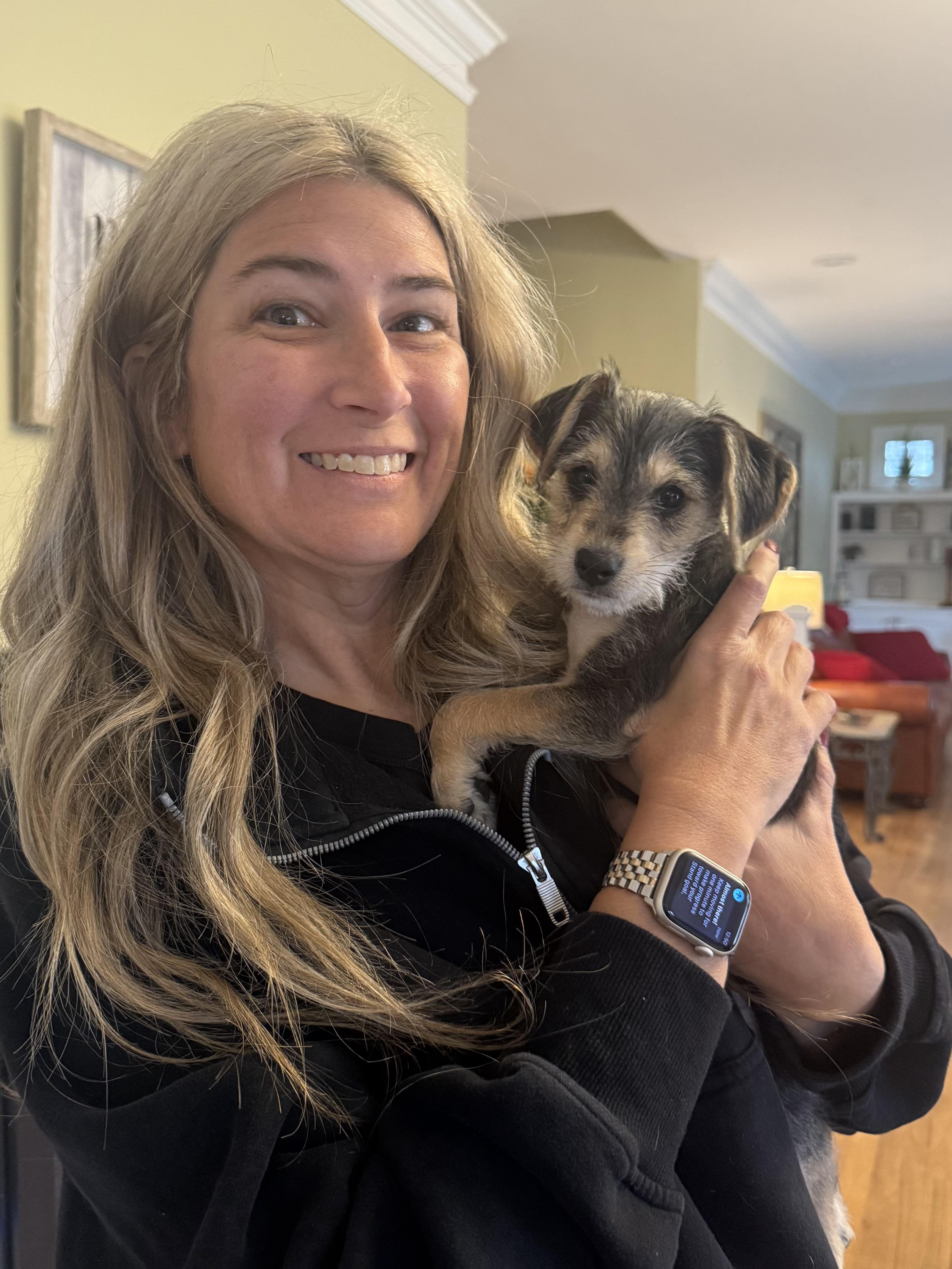 Noel, ADOPTABLE, Puppy Female Terrier.