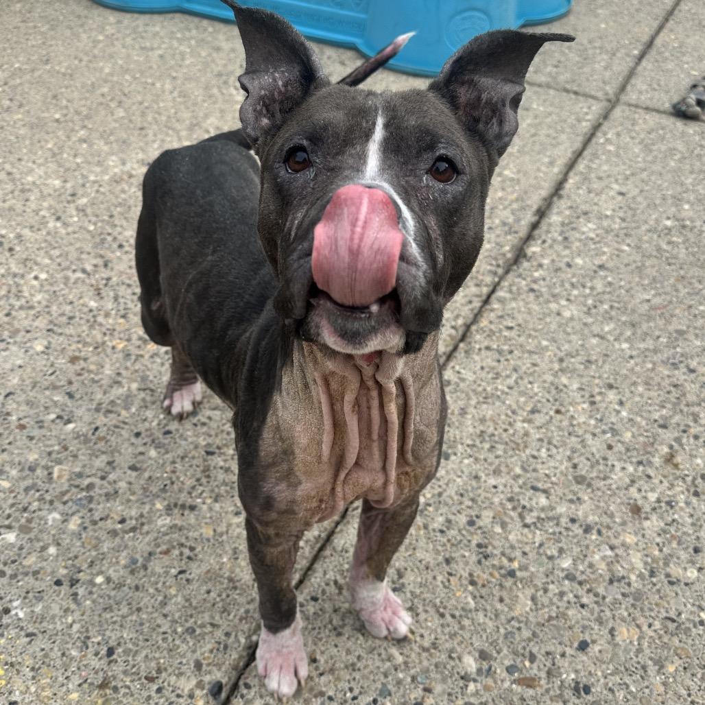 Gwen — thumbnail 2