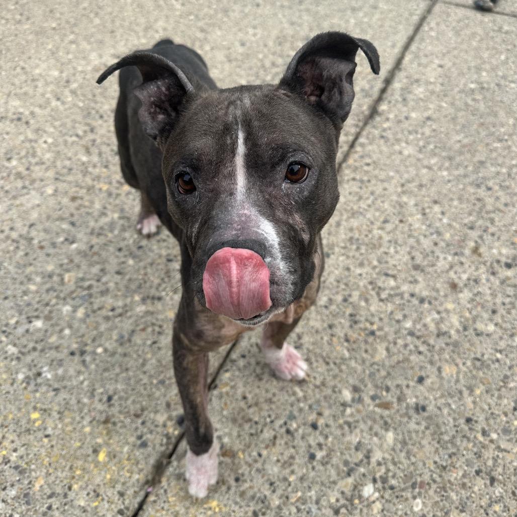 Gwen — thumbnail 3