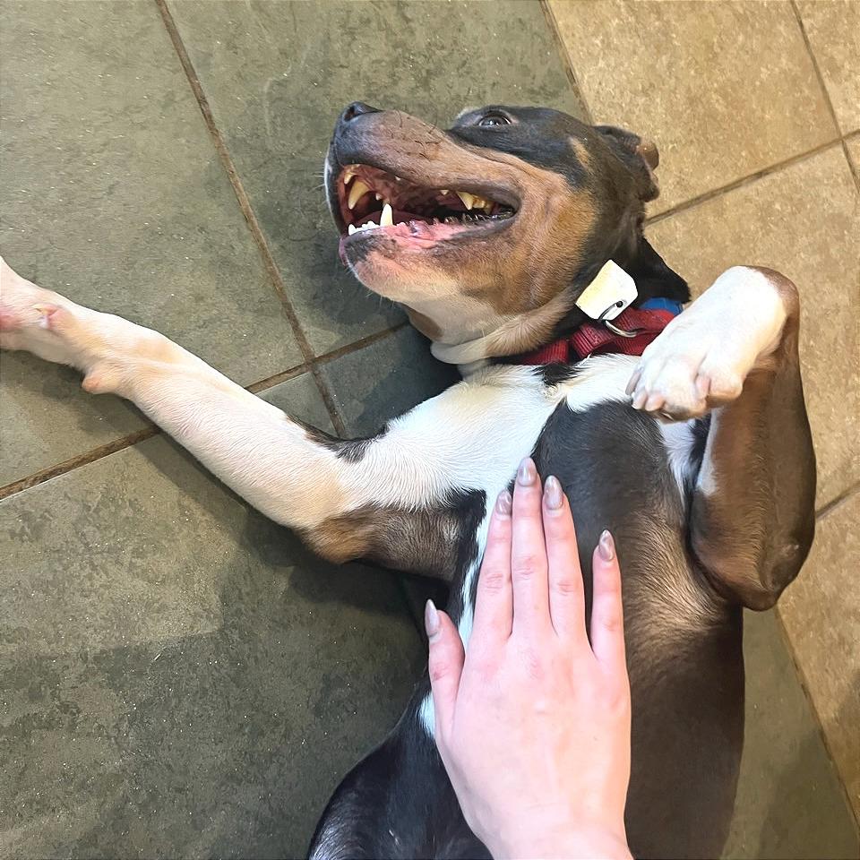 Todo — thumbnail 2