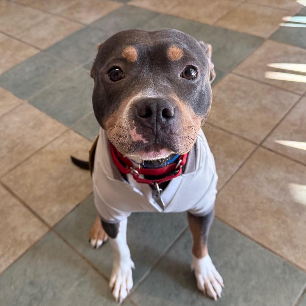 Todo — thumbnail 5