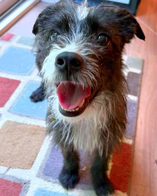 Charlie