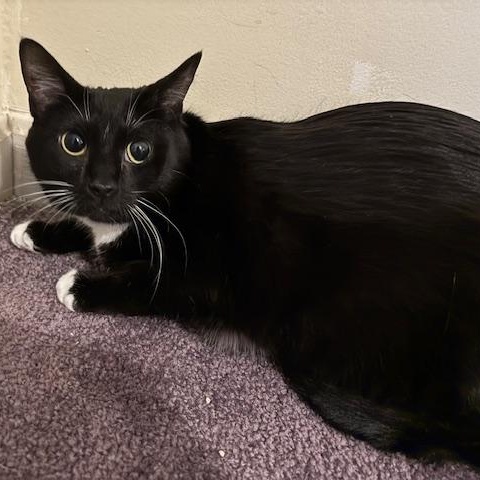 Nia – A Gentle Mama with a Heart of Gold