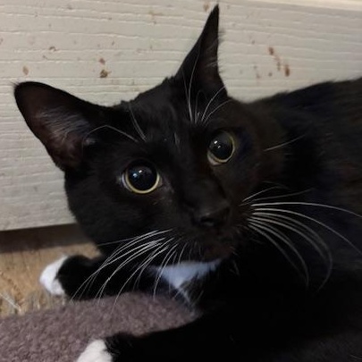 Nia – A Gentle Mama with a Heart of Gold