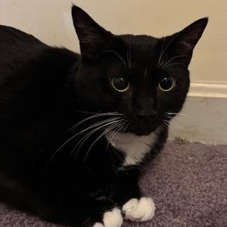 Nia – A Gentle Mama with a Heart of Gold