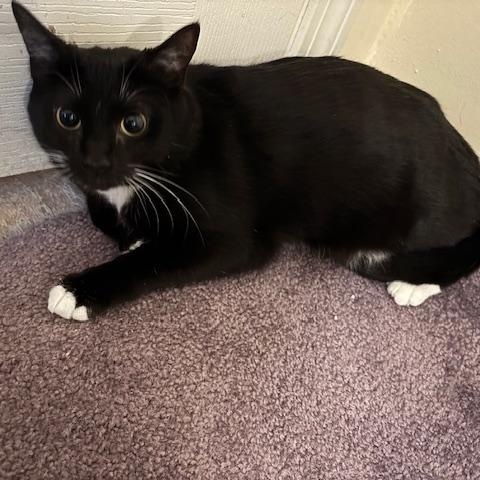 Nia – A Gentle Mama with a Heart of Gold