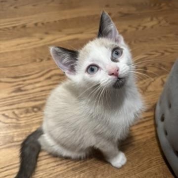 Benetton thumbnail 2