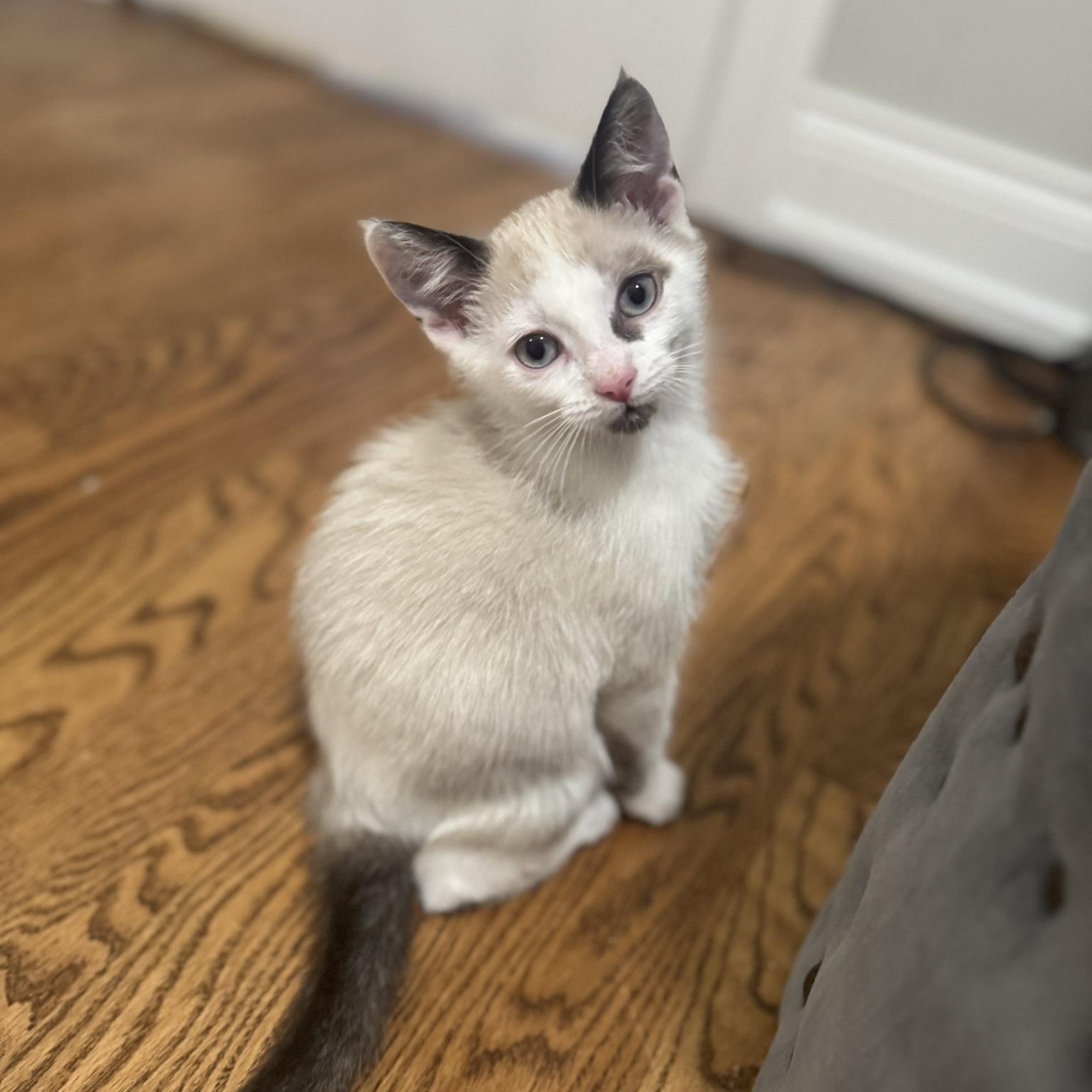 Benetton thumbnail 6