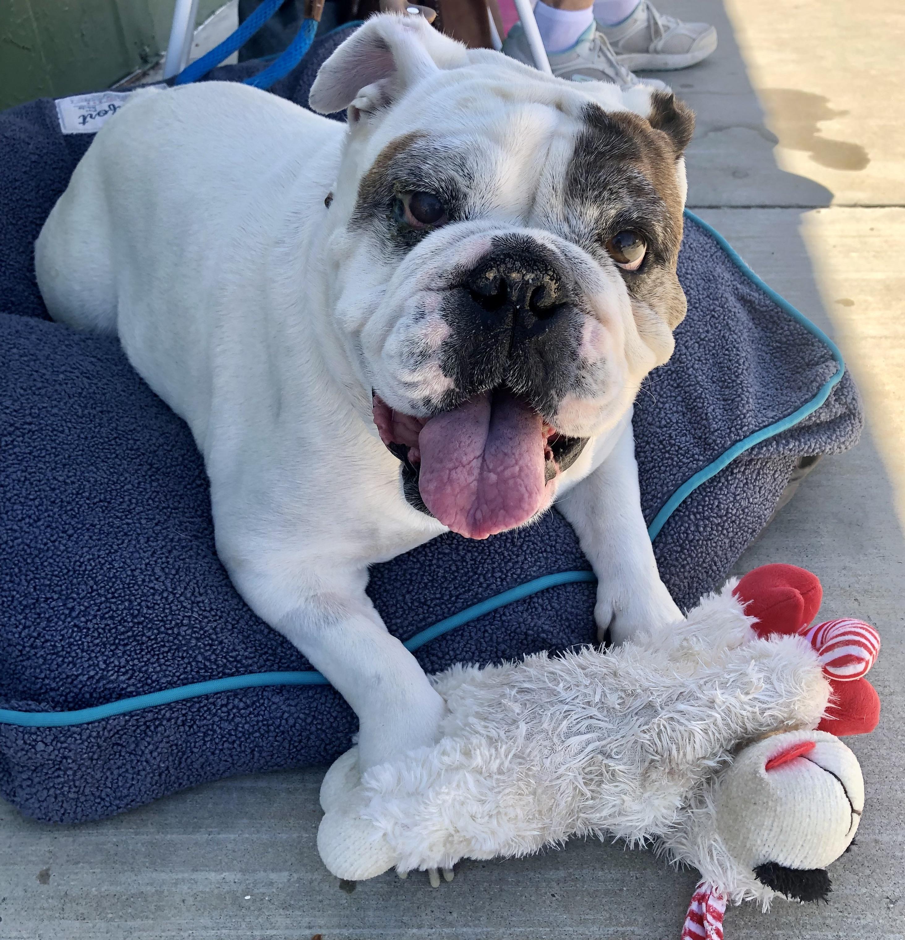 NELLIE photo 2