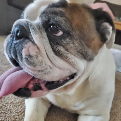 NELLIE photo 6