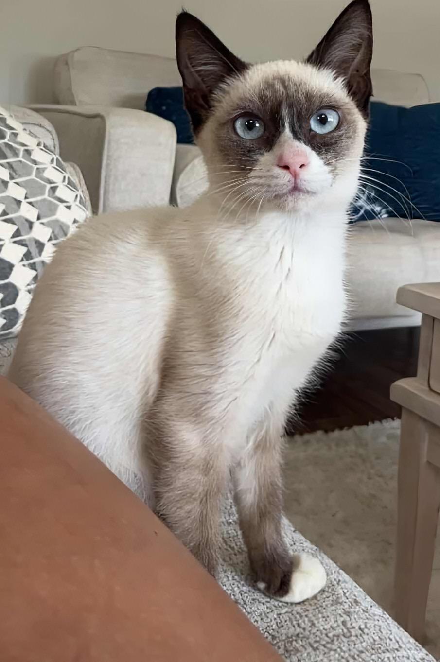 Arnold (bonded To Regina)
