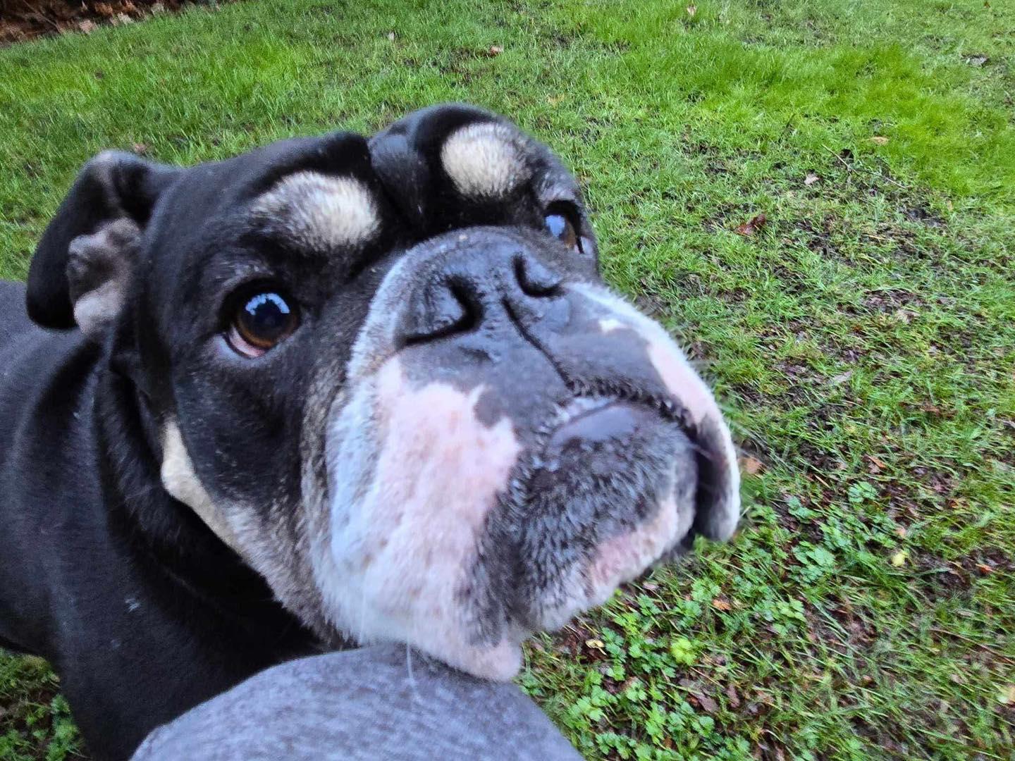 OLIVER photo 1
