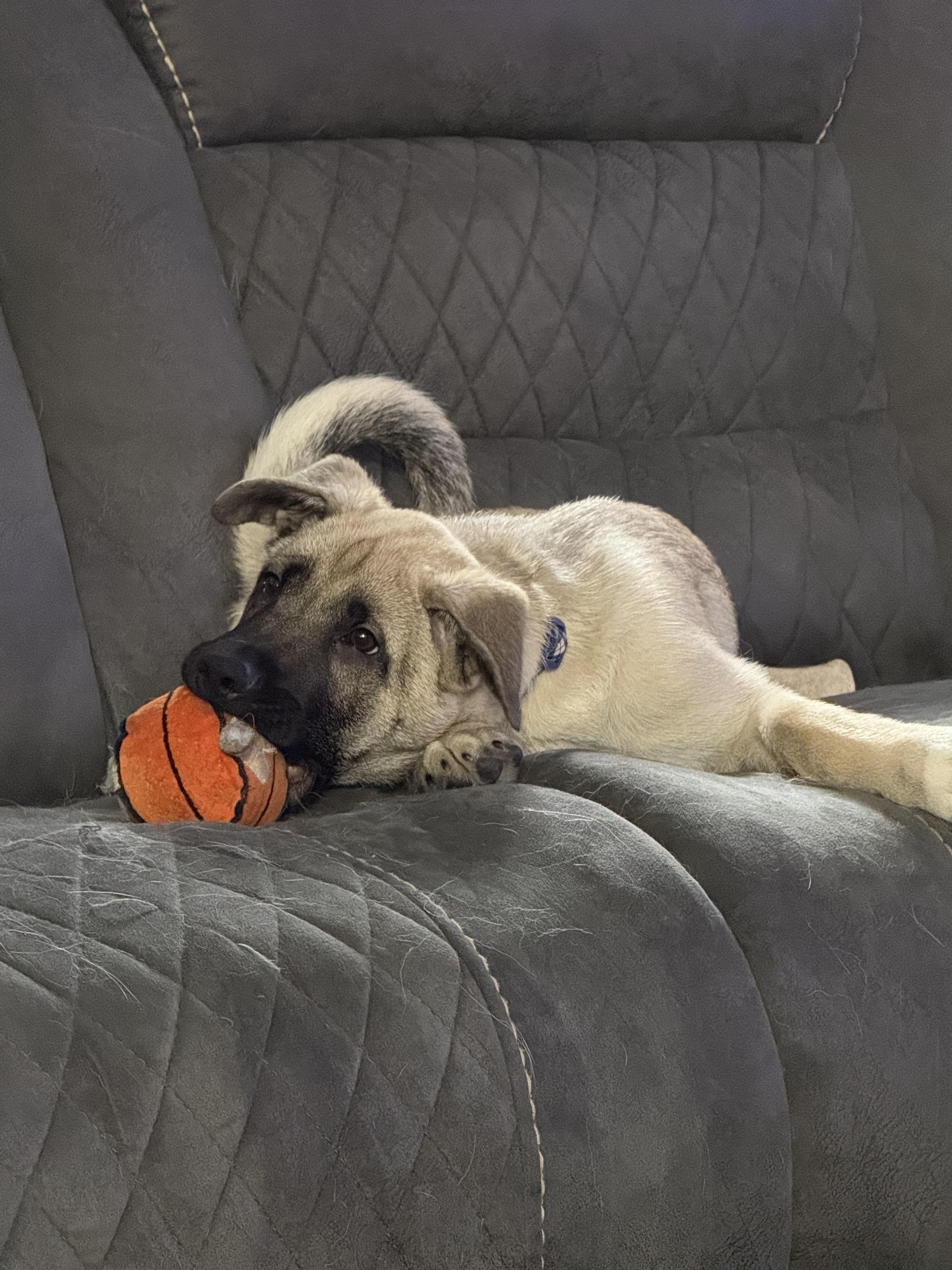 Mojito "mo" thumbnail 3