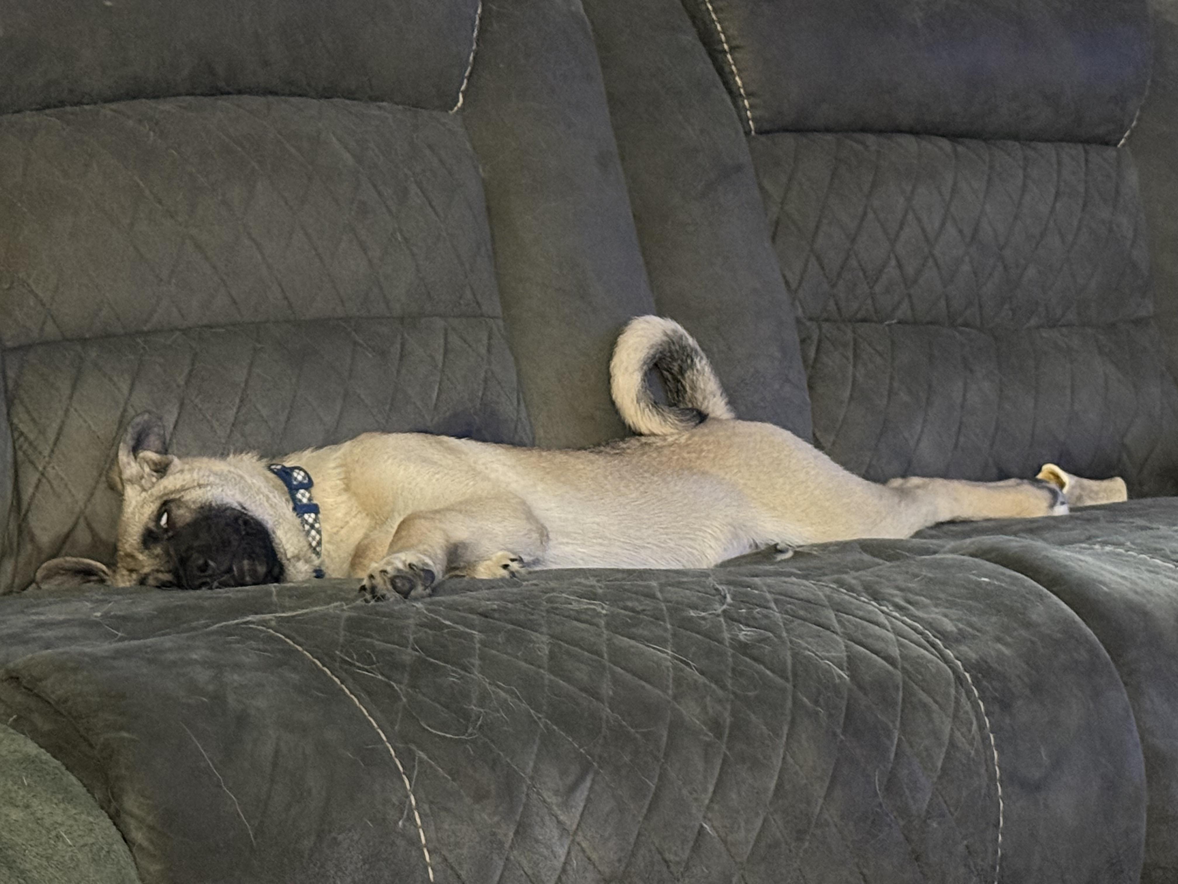 Mojito "mo" thumbnail 4