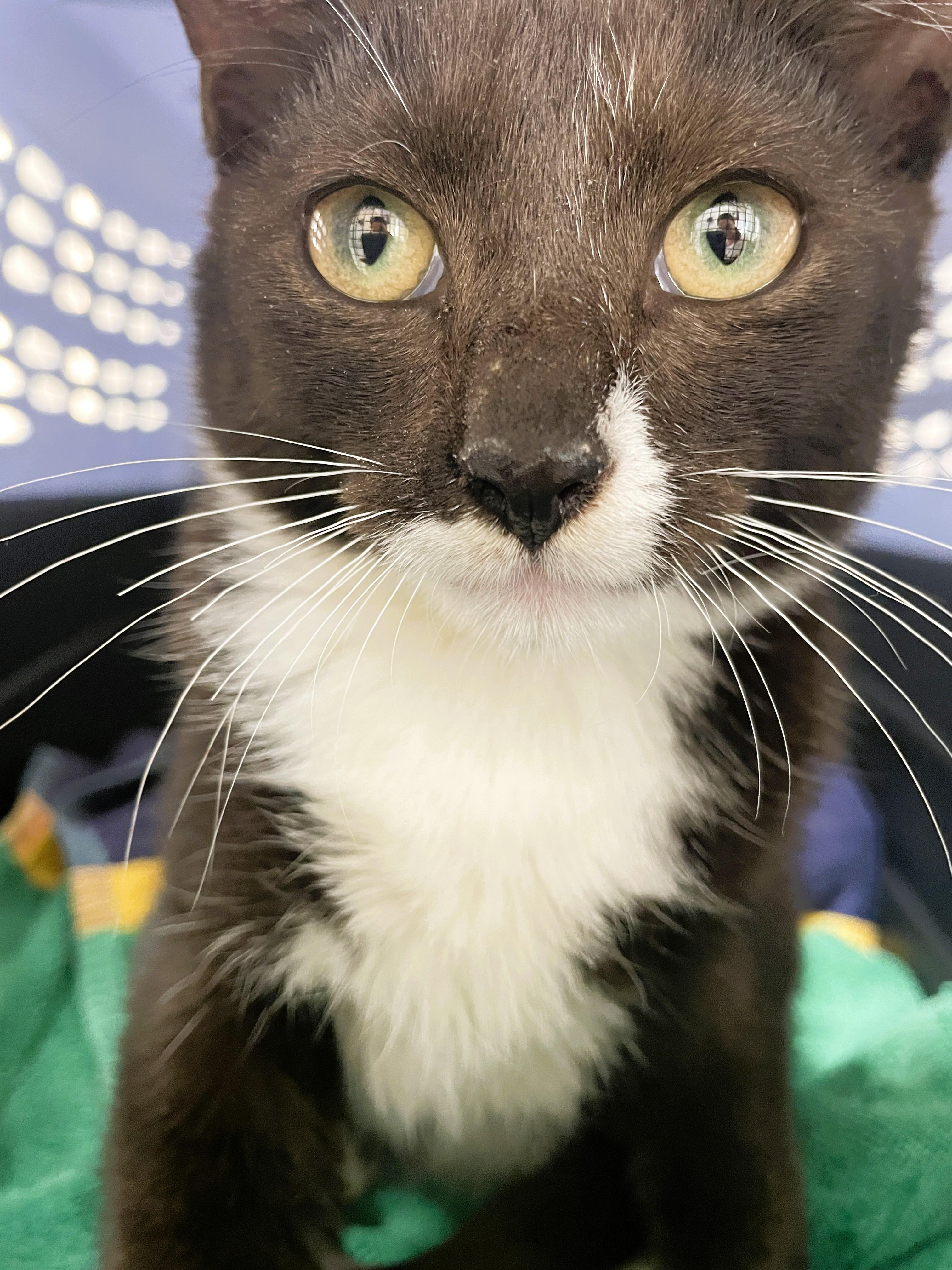 Tux