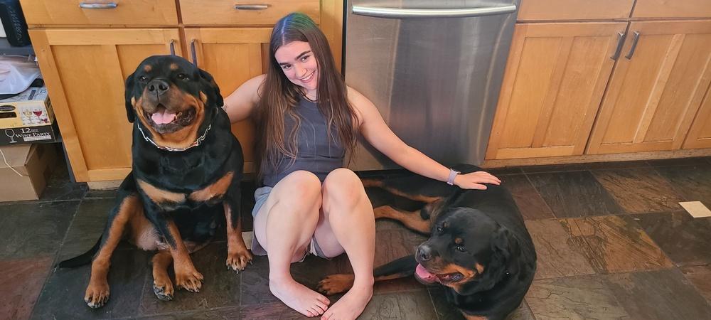 Nadia, a Adoptable Rottweiler in Gilbert, AZ image 4/5