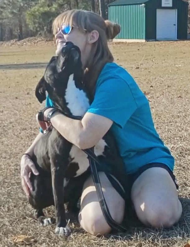 Enlarge Hunter, a Adoptable mixed breed in Hartsville, SC image 3/6