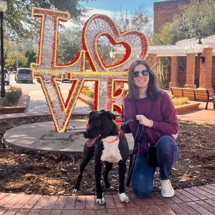 Enlarge Hunter, a Adoptable mixed breed in Hartsville, SC image 4/6