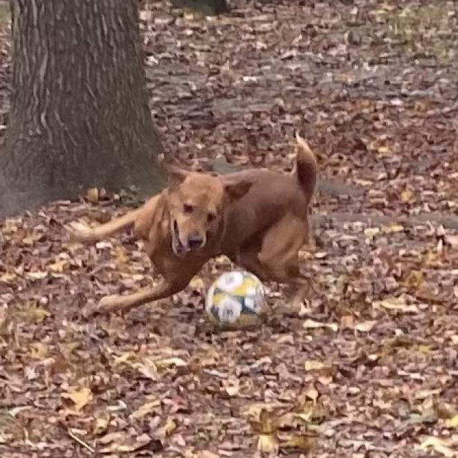 Fender Fka Jazzmaster thumbnail 3