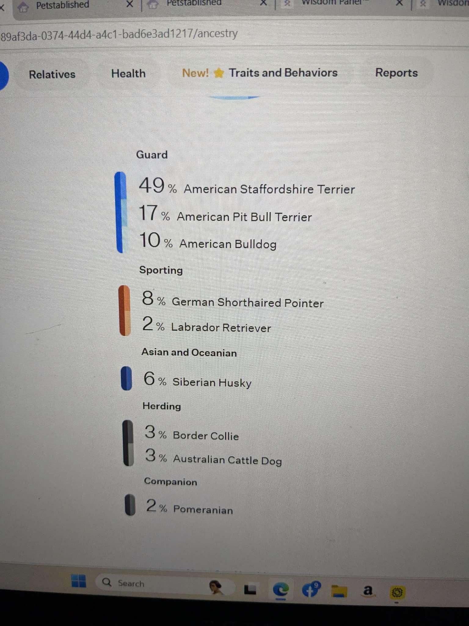 Enlarge Louie, a Adoptable mixed breed in Walthill, NE image 3/5