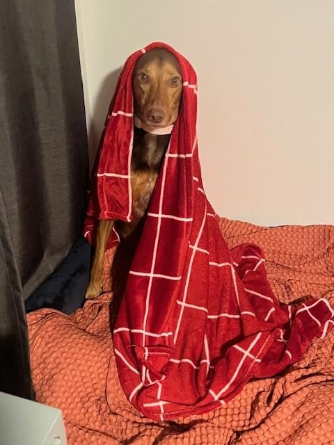 Maggie Mae