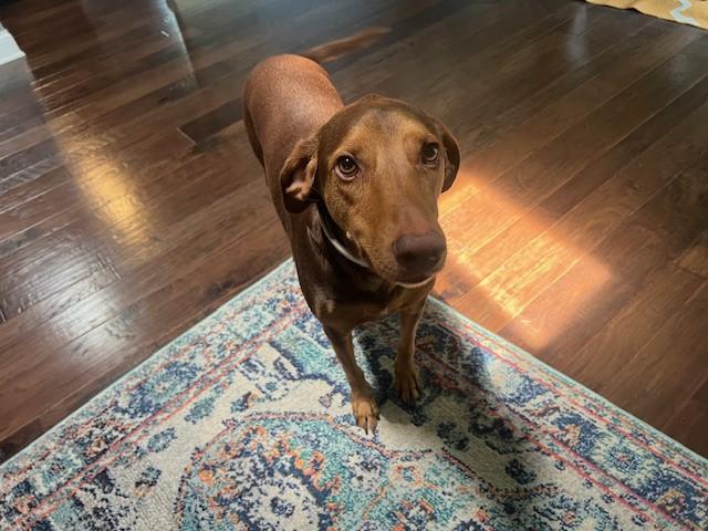 Maggie Mae