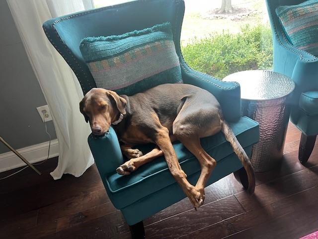 Maggie Mae