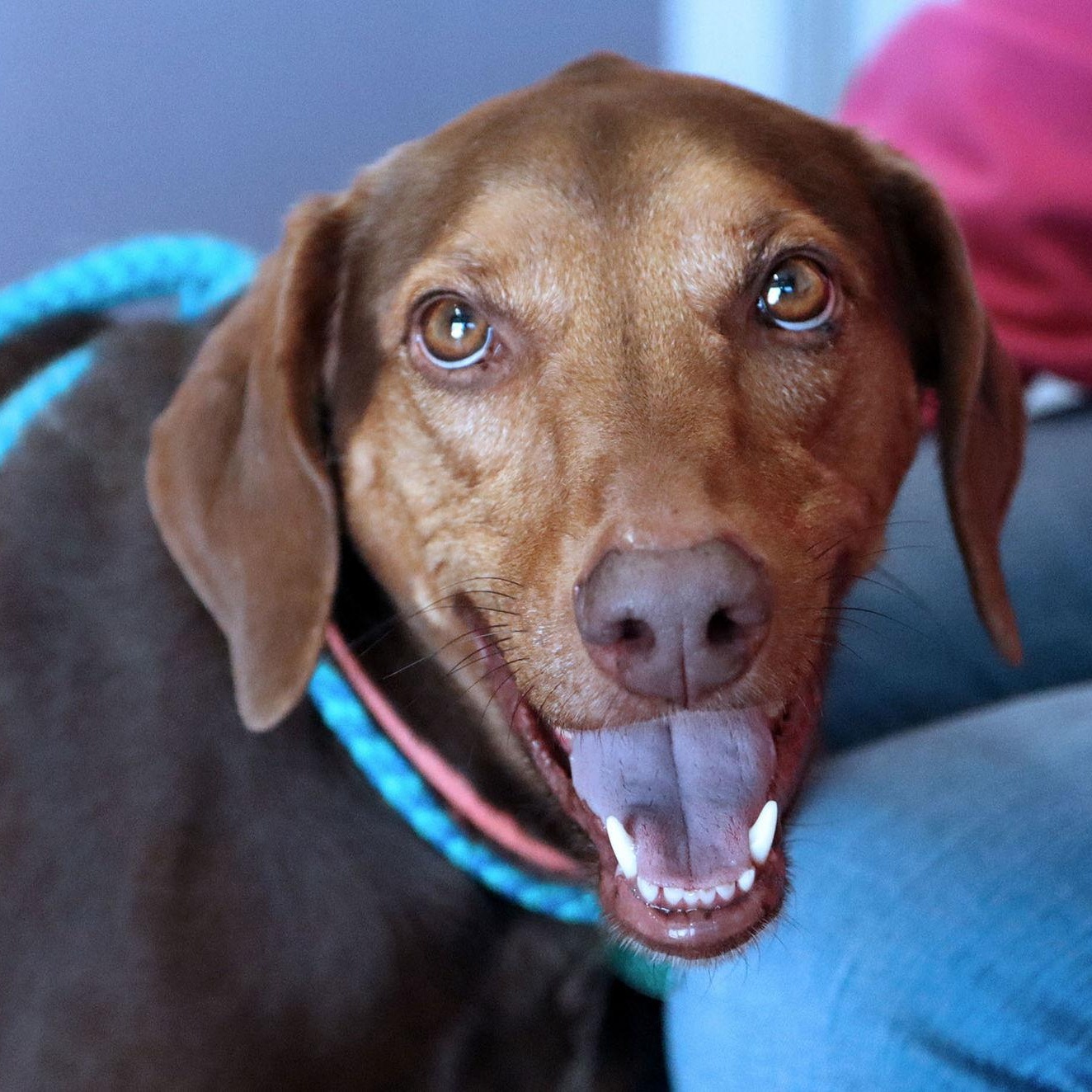 Maggie Mae