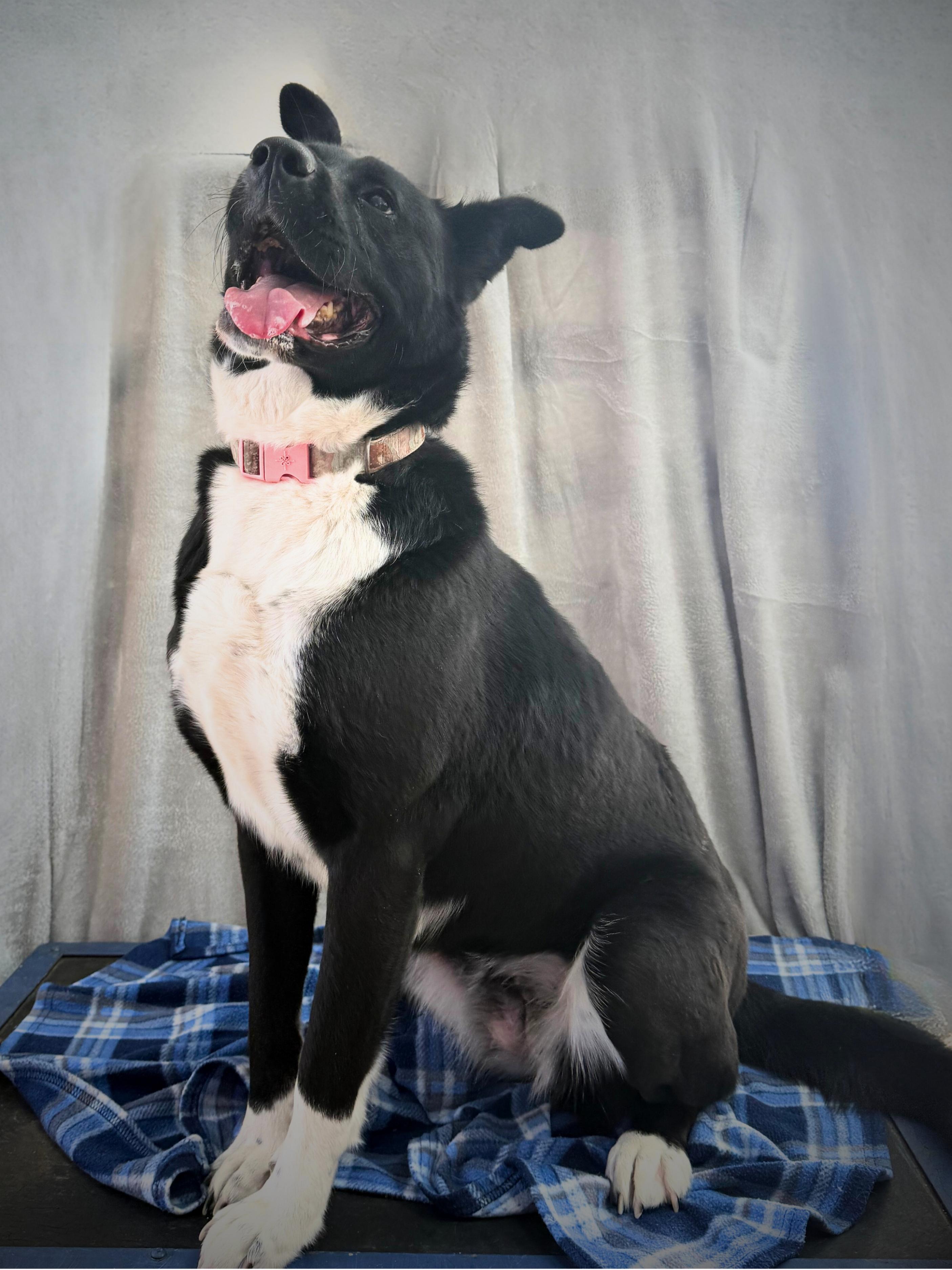 Deanna | Adult | thumbnail 2