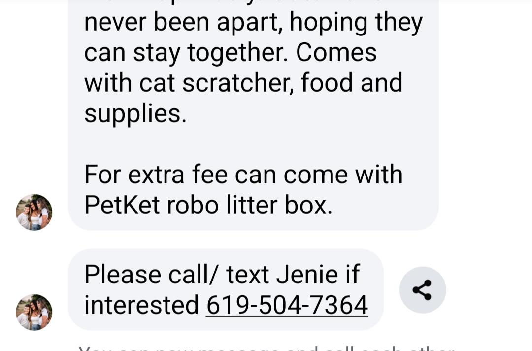 Sugar & Cookie, a Adopted mixed breed in San Diego, CA image 4/4